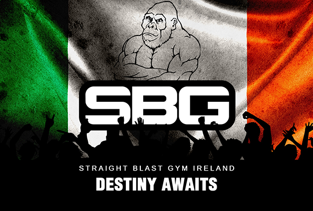 SBG Ireland - welcome to Shinobi MMA SBG Ireland - welcome to Shinobi MMA